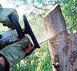 Best Stump Grinding and Removal  in Kettering, OH